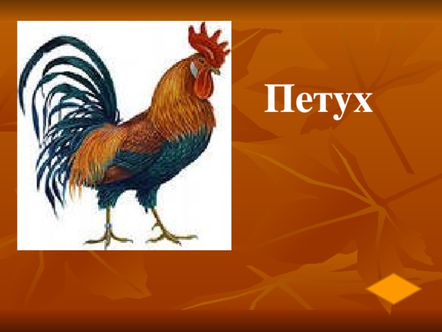 Петух