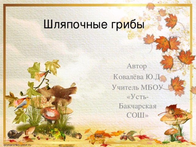 Шляпочные грибы Автор Ковалёва Ю.Д Учитель МБОУ «Усть-Бакчарская СОШ» 