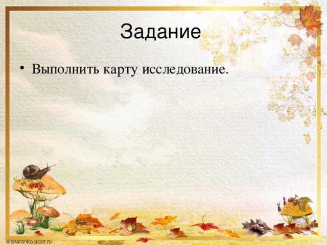 Задание Выполнить карту исследование. 