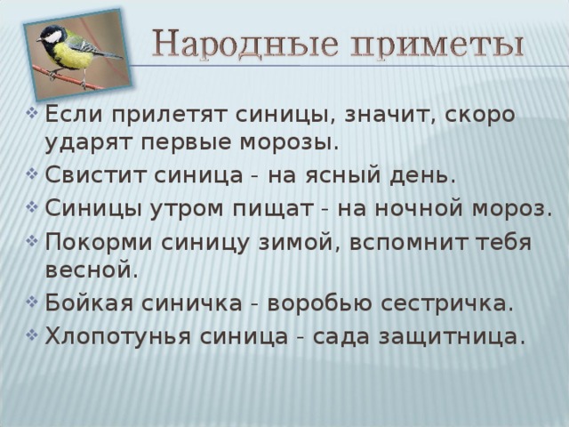 Если прилетят синицы, значит, скоро ударят первые морозы. Свистит синица - на ясный день. Синицы утром пищат - на ночной мороз. Покорми синицу зимой, вспомнит тебя весной. Бойкая синичка - воробью сестричка. Хлопотунья синица - сада защитница . 