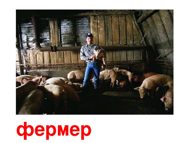 цветочница 