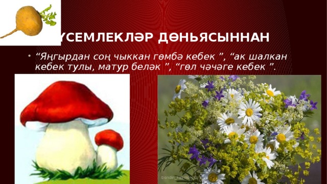 Үсемлекләр дөньясыннан “ Яңгырдан соң чыккан гөмбә кебек ”, “ак шалкан кебек тулы, матур беләк ”, “гөл чәчәге кебек ”. 