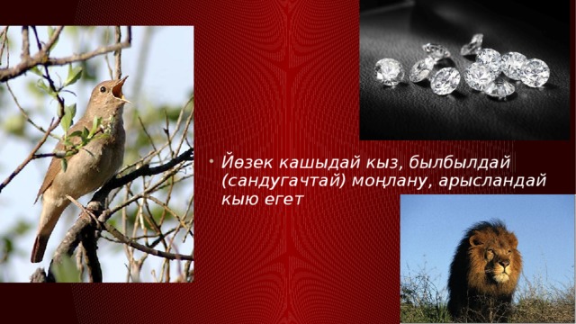 Йөзек кашыдай кыз, былбылдай (сандугачтай) моңлану, арысландай кыю егет 