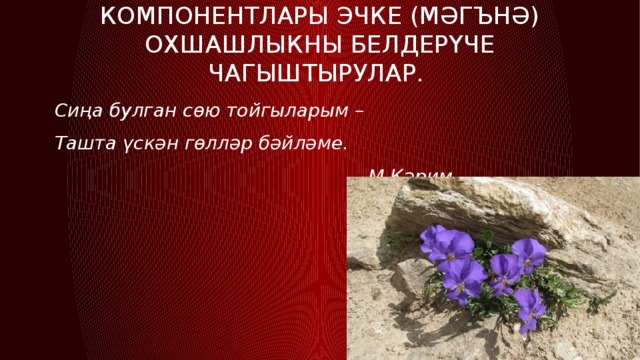 Компонентлары эчке (мәгънә) охшашлыкны белдерүче чагыштырулар. Сиңа булган сөю тойгыларым – Ташта үскән гөлләр бәйләме.  М.Кәрим  