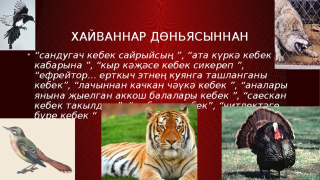 Хайваннар дөньясыннан “ сандугач кебек сайрыйсың ”, “ата күркә кебек кабарына ”, “кыр кәҗәсе кебек сикереп ”, “ефрейтор... ерткыч этнең куянга ташланганы кебек”, “лачыннан качкан чәүкә кебек ”, “аналары янына җыелган аккош балалары кебек ”, “саескан кебек такылдап ”, “юлбарыс кебек”, “читлектәге бүре кебек “  