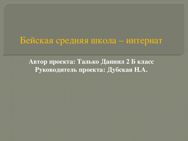 Бейская средняя школа – интернат   Автор проекта: Талько Даниил 2 Б класс  Руководитель проекта: Дубская Н.А.