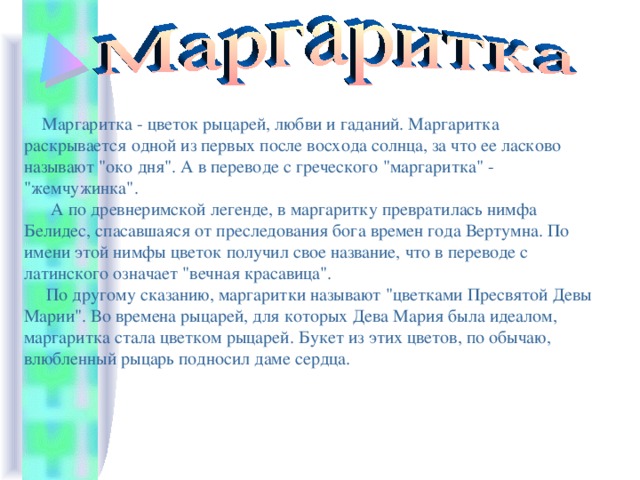  Маргаритка - цветок рыцарей, любви и гаданий. Маргаритка раскрывается одной из первых после восхода солнца, за что ее ласково называют 