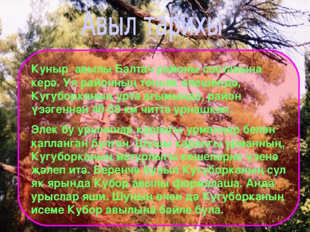 Куныр авылы Балтач районы составына керә. Ул районның төн ь як өлешендә, Кугуборканың урта агымында, район үзәгеннән 40-50 км читтә урнашкан. Элек бу урынннар караңгы урманнар белән капланган булган. Шушы караңгы урманның, Кугуборканың матурлыгы кешеләрне үзенә җәлеп итә. Беренче булып Кугуборканың сул як ярында Кубор авылы формалаша. Анда урыслар яши. Шуның өчен дә Кугуборканың исеме Кубор авылына бәйле була. 
