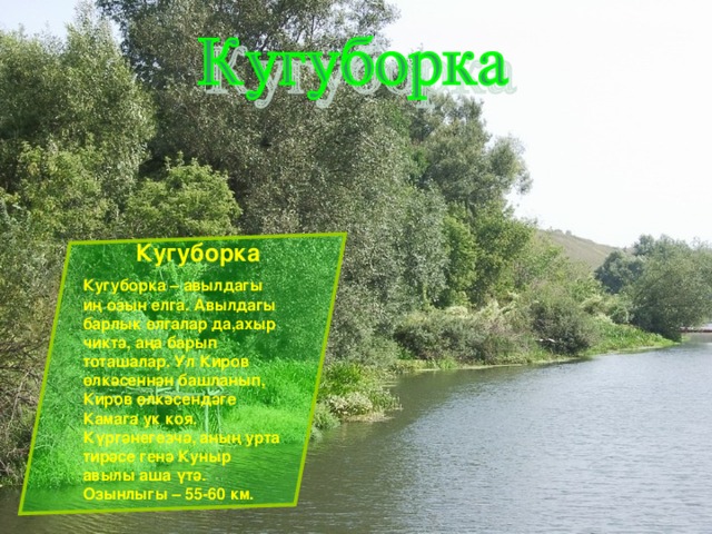  Кугуборка Кугуборка – авылдагы иң озын елга. Авылдагы барлык елгалар да,ахыр чиктә, аңа барып тоташалар. Ул Киров өлкәсеннән башланып, Киров өлкәсендәге Камага ук коя. Күргәнегезчә, аның урта тирәсе генә Куныр авылы аша үтә. Озынлыгы – 55-60 км. 