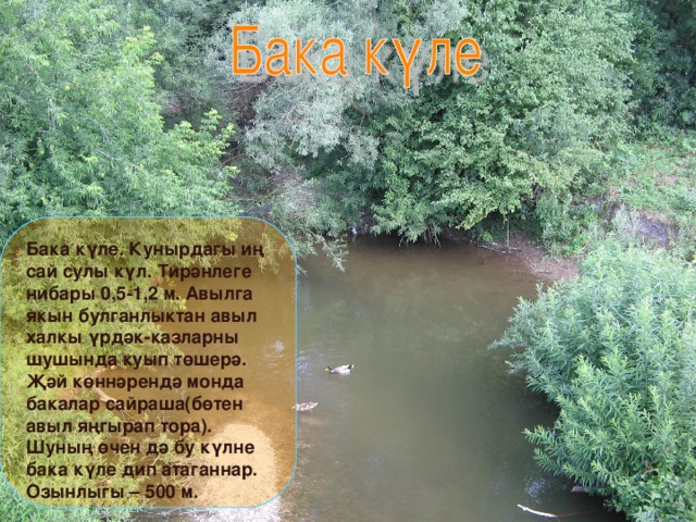 Бака күле. Кунырдагы иң сай сулы күл. Тирәнлеге нибары 0,5-1,2 м. Авылга якын булганлыктан авыл халкы үрдәк-казларны шушында куып төшерә. Җәй көннәрендә монда бакалар сайраша(бөтен авыл яңгырап тора). Шуның өчен дә бу күлне бака күле дип атаганнар. Озынлыгы – 500 м. 