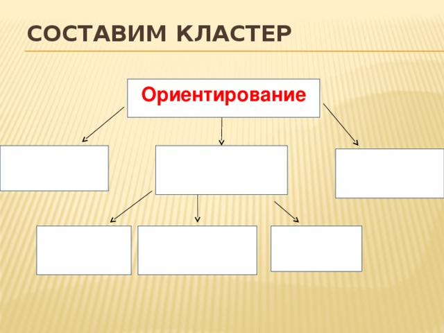 Составим кластер Ориентирование 