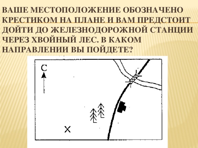 Ваше местоположение обозначено крестиком на плане и вам предстоит дойти до железнодорожной станции через хвойный лес. В каком направлении вы пойдете? 