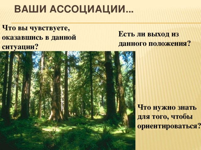 Ваши ассоциации... Что вы чувствуете, оказавшись в данной ситуации? Есть ли выход из данного положения? Что нужно знать для того, чтобы ориентироваться? 
