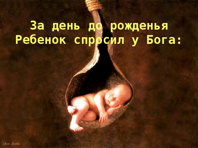 За день до рожденья Ребенок спросил у Б ога: 