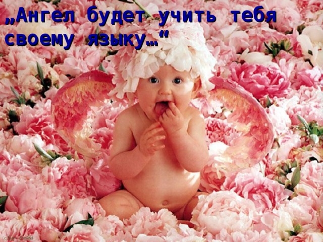 „ Ангел будет учить тебя своему языку … “ 