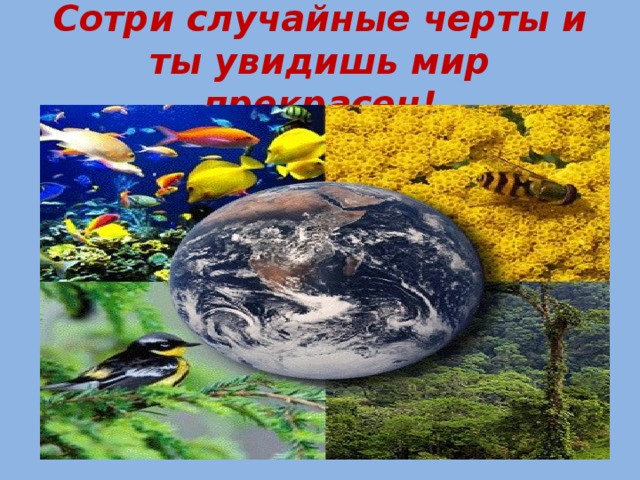 Сотри случайные черты и ты увидишь мир прекрасен! 