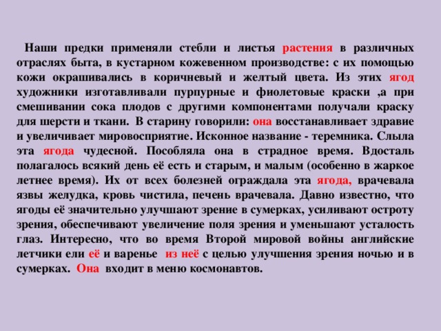  Наши предки применяли стебли и листья растения в различных отраслях быта, в кустарном кожевенном производстве: с их помощью кожи окрашивались в коричневый и желтый цвета. Из этих ягод художники изготавливали пурпурные и фиолетовые краски ,а при смешивании сока плодов с другими компонентами получали краску для шерсти и ткани.  В старину говорили: она восстанавливает здравие и увеличивает мировосприятие. Исконное название - теремника. Слыла эта ягода чудесной. Пособляла она в страдное время. Вдосталь полагалось всякий день её есть и старым, и малым (особенно в жаркое летнее время). Их от всех болезней ограждала эта ягода, врачевала язвы желудка, кровь чистила, печень врачевала. Давно известно, что ягоды её значительно улучшают зрение в сумерках, усиливают остроту зрения, обеспечивают увеличение поля зрения и уменьшают усталость глаз. Интересно, что во время Второй мировой войны английские летчики ели её и варенье из неё с целью улучшения зрения ночью и в сумерках. Она входит в меню космонавтов.       