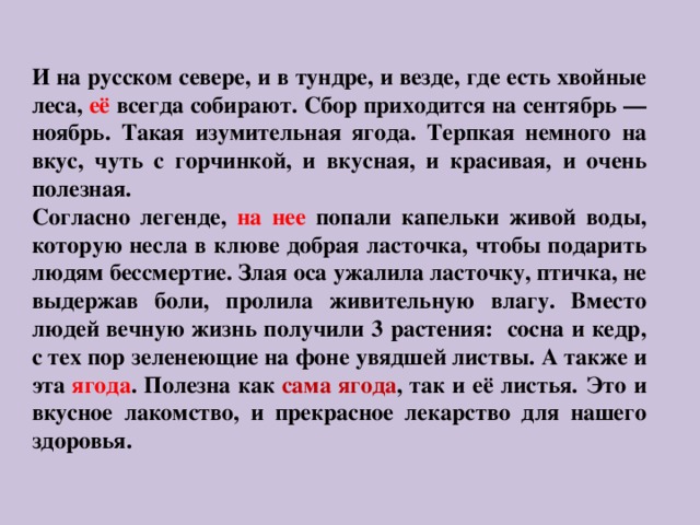   И на русском севере, и в тундре, и везде, где есть хвойные леса, её всегда собирают. Сбор приходится на сентябрь — ноябрь. Такая изумительная ягода. Терпкая немного на вкус, чуть с горчинкой, и вкусная, и красивая, и очень полезная. Согласно легенде, на нее попали капельки живой воды, которую несла в клюве добрая ласточка, чтобы подарить людям бессмертие. Злая оса ужалила ласточку, птичка, не выдержав боли, пролила живительную влагу. Вместо людей вечную жизнь получили 3 растения: сосна и кедр, с тех пор зеленеющие на фоне увядшей листвы. А также и эта ягода . Полезна как сама ягода , так и её листья.  Это и вкусное лакомство, и прекрасное лекарство для нашего здоровья.      