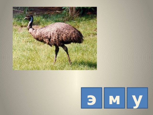 э м у 