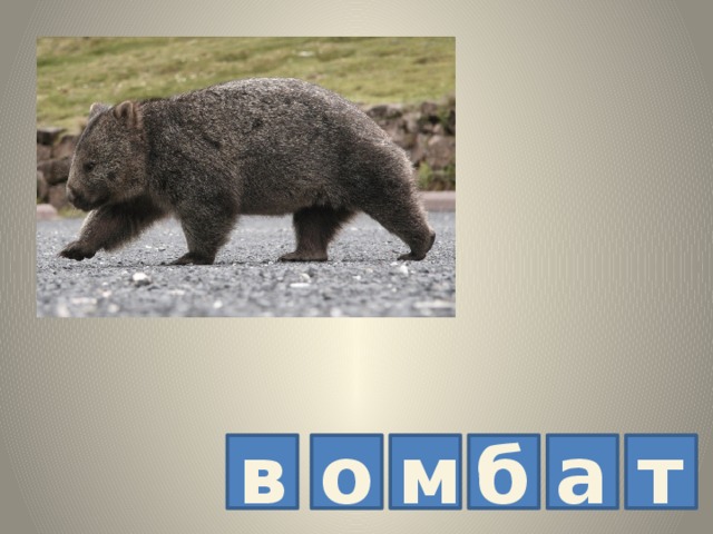 а в о б м т 