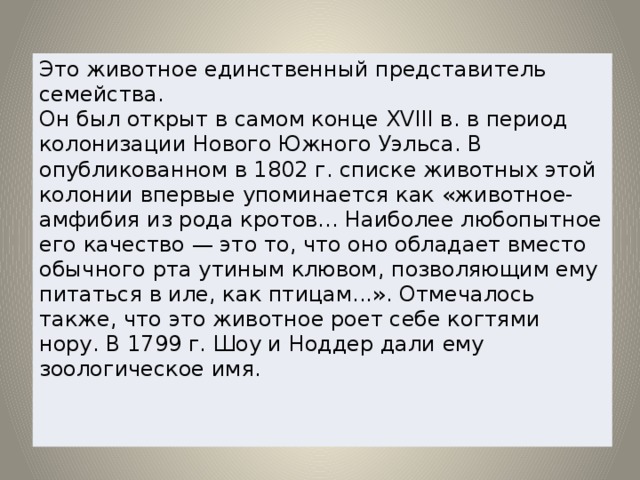 Это животное единственный представитель семейства.  Он был открыт в самом конце XVIII в. в период колонизации Нового Южного Уэльса. В опубликованном в 1802 г. списке животных этой колонии впервые упоминается как «животное-амфибия из рода кротов... Наиболее любопытное его качество — это то, что оно обладает вместо обычного рта утиным клювом, позволяющим ему питаться в иле, как птицам...». Отмечалось также, что это животное роет себе когтями нору. В 1799 г. Шоу и Ноддер дали ему зоологическое имя. 