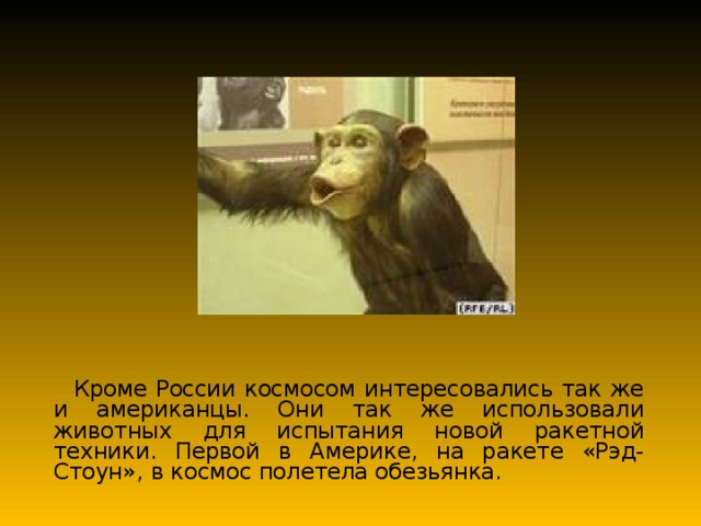  Кроме России космосом интересовались так же и американцы. Они так же использовали животных для испытания новой ракетной техники. Первой в Америке, на ракете «Рэд-Стоун», в космос полетела обезьянка. 