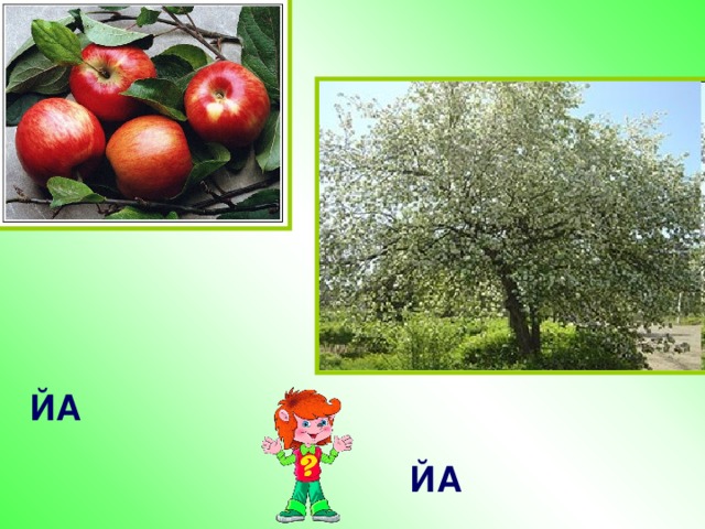 ЙА ЙА 