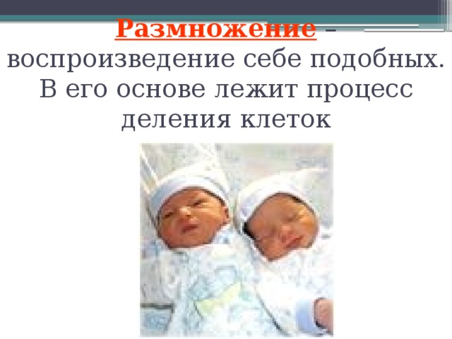 Размножение – воспроизведение себе подобных. В его основе лежит процесс деления клеток 