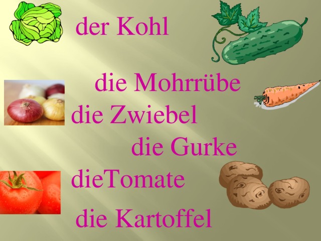 die  Mohrrübe  die Zwiebel  die Gurke  dieTomate der Kohl die Kartoffel 
