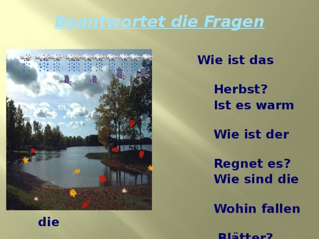 Beantwortet die Fragen  Wie ist das Wetter im  Herbst?  Ist es warm im Herbst?  Wie ist der Himmel?  Regnet es?  Wie sind die Bl ätter?  Wohin fallen die  Blätter?  Gefällt dir den Herbst? 