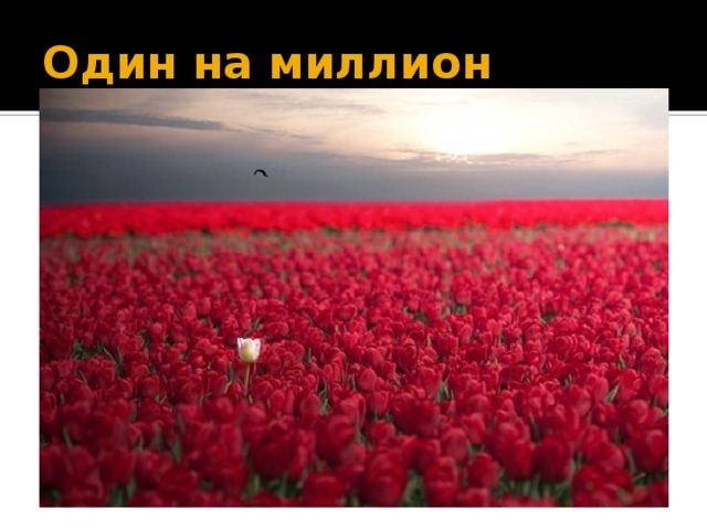Один на миллион 