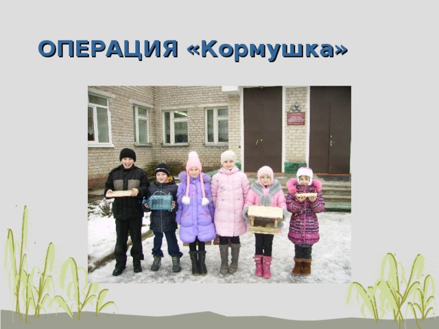 ОПЕРАЦИЯ «Кормушка» 