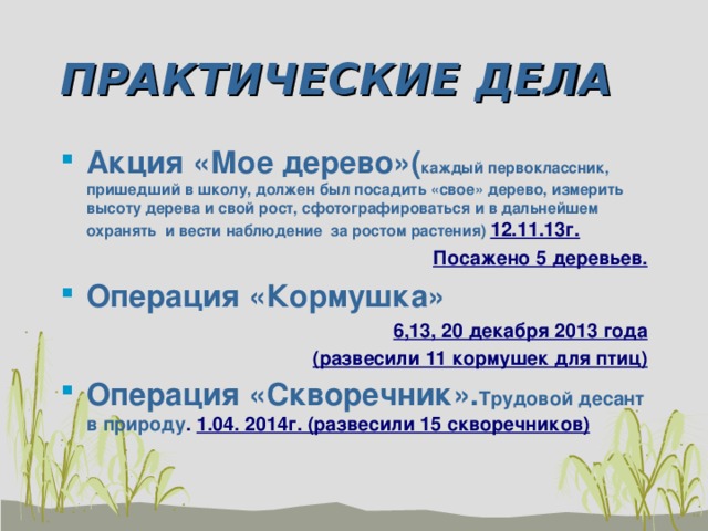 ПРАКТИЧЕСКИЕ ДЕЛА Акция «Мое дерево»( каждый первоклассник, пришедший в школу, должен был посадить «свое» дерево, измерить высоту дерева и свой рост, сфотографироваться и в дальнейшем охранять и вести наблюдение за ростом растения) 12.11.13г. Посажено 5 деревьев. Операция «Кормушка» 6,13, 20 декабря 2013 года (развесили 11 кормушек для птиц) Операция «Скворечник». Трудовой десант в природу . 1.04. 2014г. (развесили 15 скворечников) 