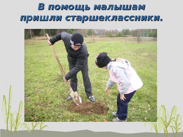 В помощь малышам пришли старшеклассники. 