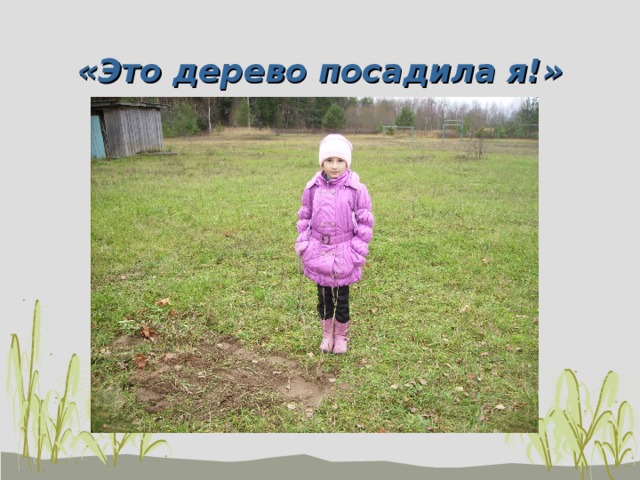 «Это дерево посадила я!» 