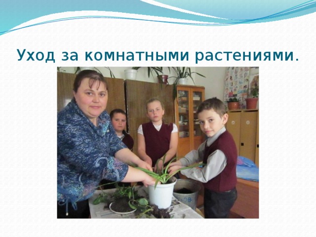 Уход за комнатными растениями. 