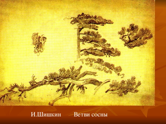 И.Шишкин Ветви сосны 