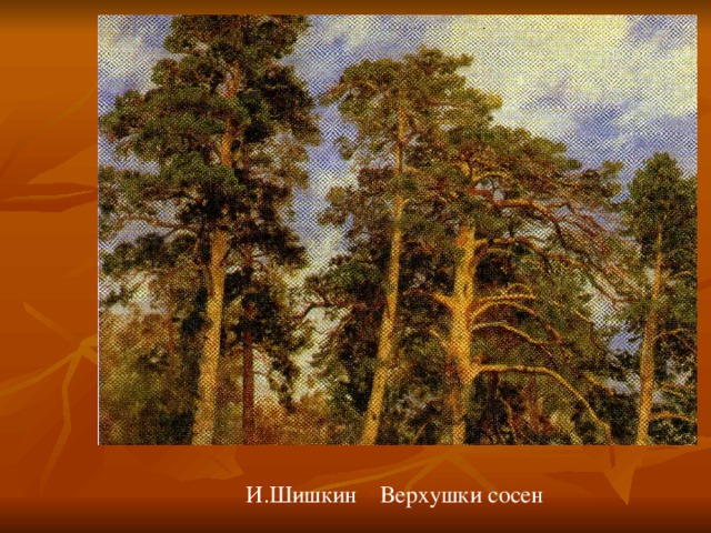 И.Шишкин Верхушки сосен 