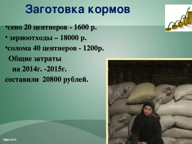 Заготовка кормов сено 20 центнеров - 1600 р.  зерноотходы – 18000 р. солома 40 центнеров - 1200р.  Общие затраты  на 2014г. -2015г. составили 20800 рублей.