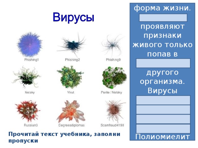 Вирусы это неклеточная форма жизни. Они проявляют признаки живого только попав в клетку другого организма. Вирусы причина болезней: СПИДа Грипп Полиомиелит бешенство Прочитай текст учебника, заполни пропуски 