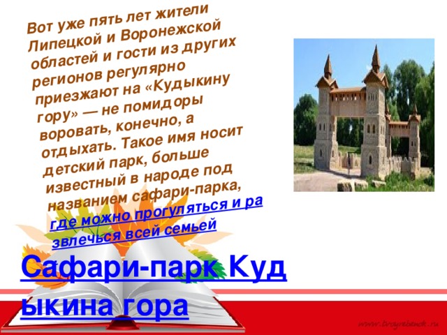 Вот уже пять лет жители Липецкой и Воронежской областей и гости из других регионов регулярно приезжают на «Кудыкину гору» — не помидоры воровать, конечно, а отдыхать. Такое имя носит детский парк, больше известный в народе под названием сафари-парка,  где можно прогуляться и развлечься всей семьей . Сафари-парк Кудыкина гора 