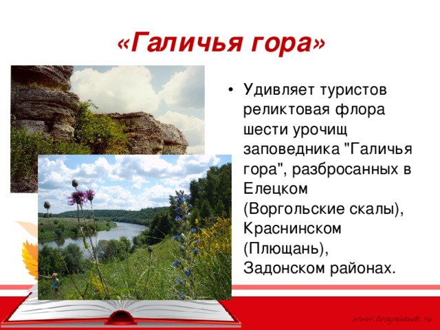 «Галичья гора» Удивляет туристов реликтовая флора шести урочищ заповедника 
