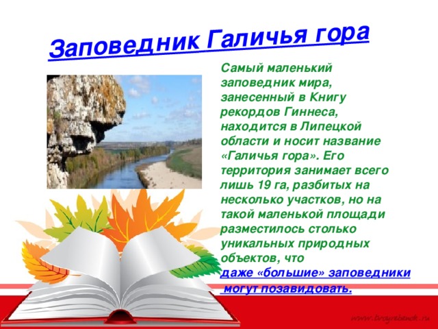 Заповедник  Галичья гора Самый маленький заповедник мира, занесенный в Книгу рекордов Гиннеса, находится в Липецкой области и носит название «Галичья гора». Его территория занимает всего лишь 19 га, разбитых на несколько участков, но на такой маленькой площади разместилось столько уникальных природных объектов, что  даже «большие» заповедники могут позавидовать. 