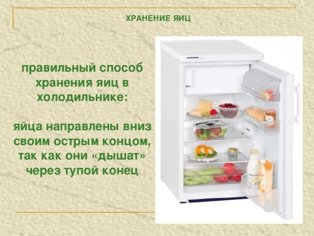 ХРАНЕНИЕ ЯИЦ правильный способ хранения яиц в холодильнике:  яйца направлены вниз своим острым концом, так как они «дышат» через тупой конец 