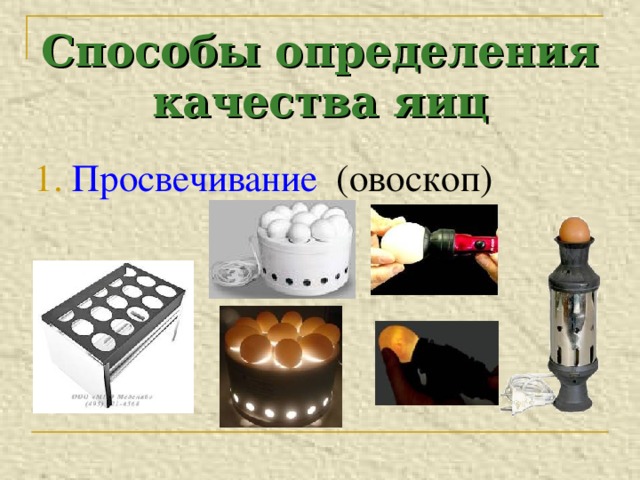 Способы определения качества яиц 1. Просвечивание (овоскоп) 