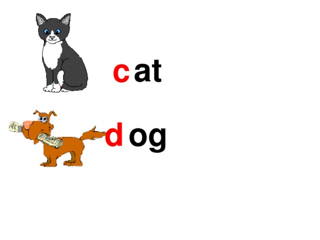 c at og d 