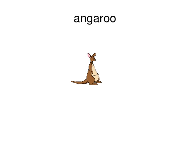 angaroo 