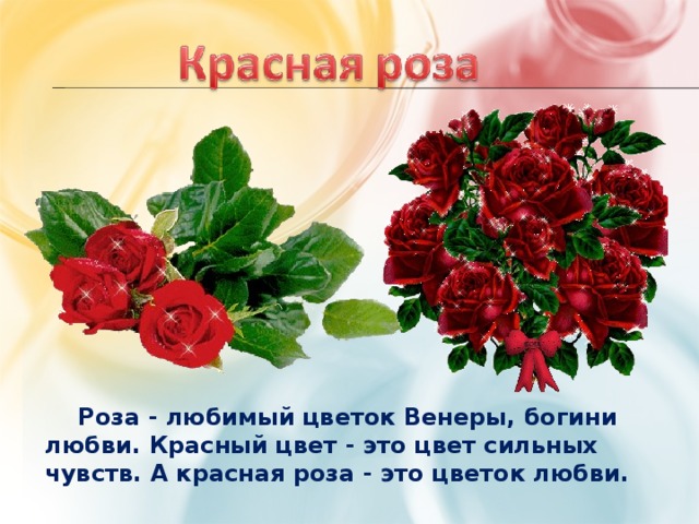  Роза - любимый цветок Венеры, богини любви. Красный цвет - это цвет сильных чувств. А красная роза - это цветок любви. 