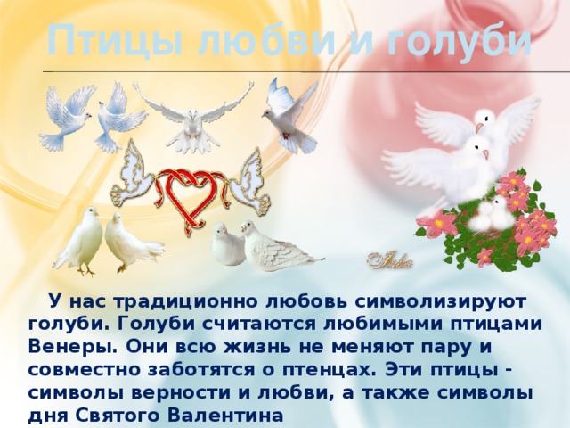 Птицы любви и голуби  У нас традиционно любовь символизируют голуби. Голуби считаются любимыми птицами Венеры. Они всю жизнь не меняют пару и совместно заботятся о птенцах. Эти птицы - символы верности и любви, а также символы дня Святого Валентина 