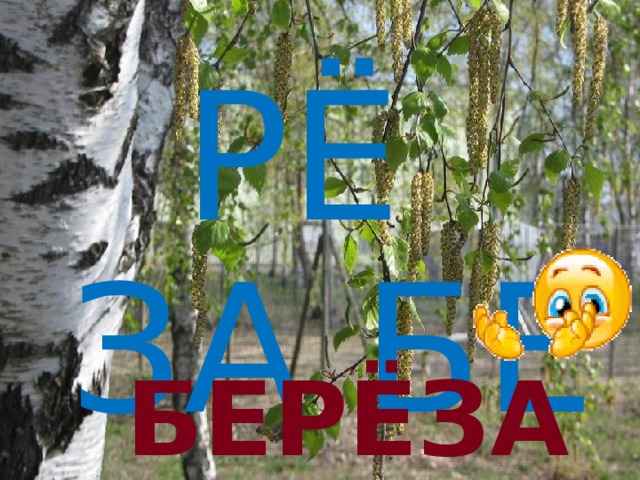 РЁ  ЗА  БЕ Берёза